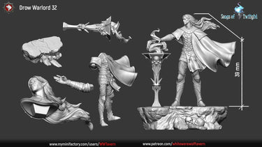 Drow Warlord